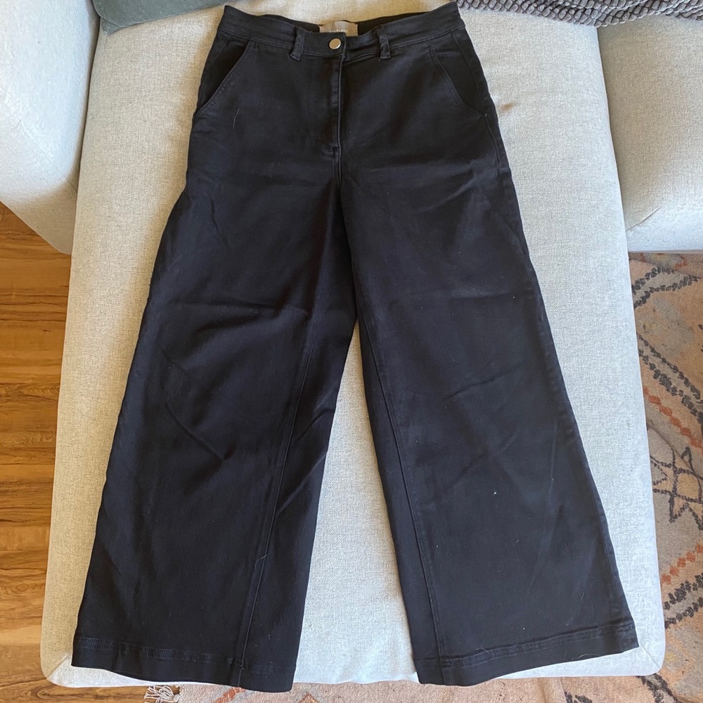 Everlane Wide Leg Crop Pant